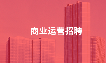 加入巅峰国际网站