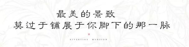 巅峰国际网站&middot;江屿城丨能给你的，，，，不止这些